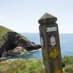 dovemeadows-south-west-coast-path-placeholder South West Coast Path